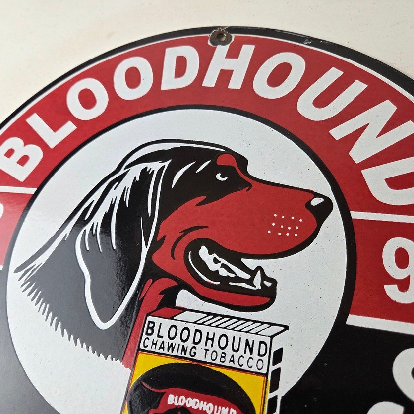Vintage Bloodhound Sign - Chewing Tobacco Gas Pump Display Porcelain Ad Sign - Image 12