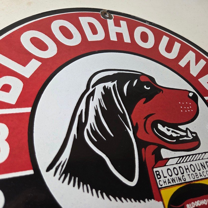 Vintage Bloodhound Sign - Chewing Tobacco Gas Pump Display Porcelain Ad Sign - Image 5