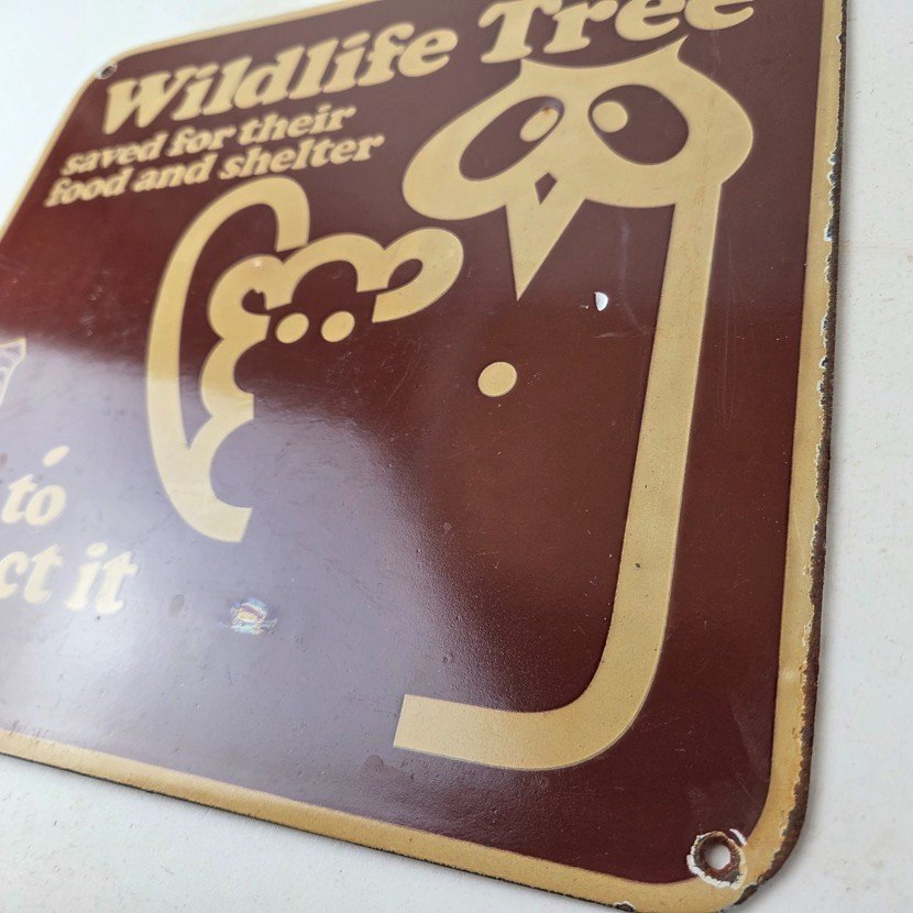 Vintage Wildlife Tree Owl Porcelain Sign - U.S. Forest Service Habitat Sign - Image 13